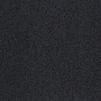 Ковролин Betap Centenial 905 чёрный — купить в Москве в интернет-магазине Snabimport