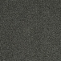 Ковровая плитка Mannington Allegiant Centerfield 20-15015 чёрный — купить в Москве в интернет-магазине Snabimport