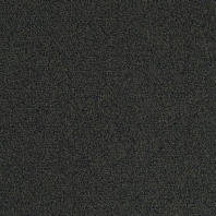 Ковровая плитка Mannington Allegiant Centerfield 20-35013 чёрный — купить в Москве в интернет-магазине Snabimport