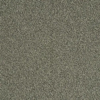 Ковровая плитка Mannington Allegiant Centerfield 20-43011 Серый — купить в Москве в интернет-магазине Snabimport