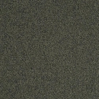 Ковровая плитка Mannington Allegiant Centerfield 20-45004 Серый — купить в Москве в интернет-магазине Snabimport