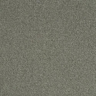 Ковровая плитка Mannington Allegiant Centerfield 20-82008 Серый — купить в Москве в интернет-магазине Snabimport