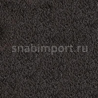 Ковровое покрытие Infloor Champ 785 — купить в Москве в интернет-магазине Snabimport