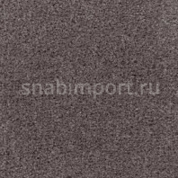 Ковровое покрытие Radici Pietro Admiral CHARCOAL 2205 Серый — купить в Москве в интернет-магазине Snabimport