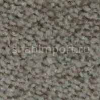 Контрактный ковролин Condor Сarpets Charmant 12 Серый