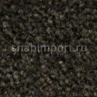 Контрактный ковролин Condor Сarpets Charmant 18 чёрный — купить в Москве в интернет-магазине Snabimport
