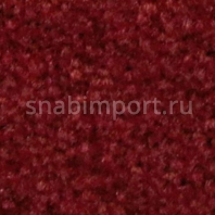 Контрактный ковролин Condor Сarpets Charmant 56 Красный — купить в Москве в интернет-магазине Snabimport