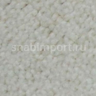 Контрактный ковролин Condor Сarpets Charmant 60 белый — купить в Москве в интернет-магазине Snabimport