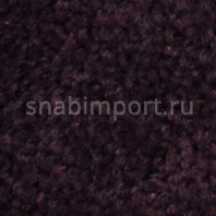 Контрактный ковролин Condor Сarpets Charmant 76 Фиолетовый — купить в Москве в интернет-магазине Snabimport