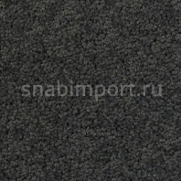 Ковровое покрытие Infloor Chiffon 560 — купить в Москве в интернет-магазине Snabimport