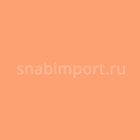 Светофильтр Rosco Cinegel 3106 оранжевый — купить в Москве в интернет-магазине Snabimport