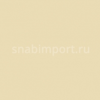 Светофильтр Rosco Cinegel 3134 Бежевый — купить в Москве в интернет-магазине Snabimport