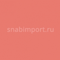 Светофильтр Rosco Cinegel 3310 Красный — купить в Москве в интернет-магазине Snabimport