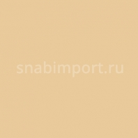 Светофильтр Rosco Cinegel 3408 Бежевый — купить в Москве в интернет-магазине Snabimport