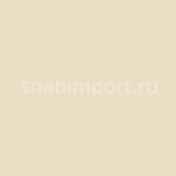 Светофильтр Rosco Cinegel 3409 Бежевый — купить в Москве в интернет-магазине Snabimport