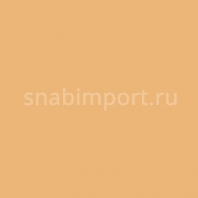 Светофильтр Rosco Cinegel 3411 Бежевый — купить в Москве в интернет-магазине Snabimport