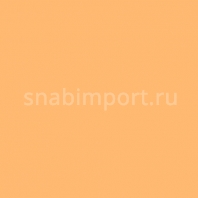Светофильтр Rosco Cinegel 3441 желтый — купить в Москве в интернет-магазине Snabimport