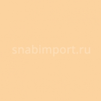 Светофильтр Rosco Cinegel 3442 Бежевый — купить в Москве в интернет-магазине Snabimport