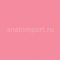 Светофильтр Rosco Cinelux 34 Красный — купить в Москве в интернет-магазине Snabimport