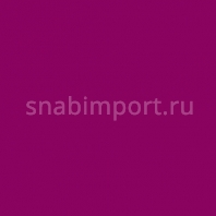 Светофильтр Rosco Cinelux 39 Фиолетовый — купить в Москве в интернет-магазине Snabimport