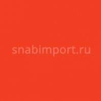 Светофильтр Rosco Cinelux 41 оранжевый — купить в Москве в интернет-магазине Snabimport