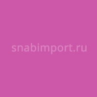 Светофильтр Rosco Cinelux 44 Фиолетовый — купить в Москве в интернет-магазине Snabimport