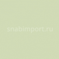 Светофильтр Rosco Cinelux 87 зеленый — купить в Москве в интернет-магазине Snabimport