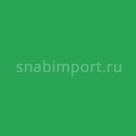Светофильтр Rosco Cinelux 89 зеленый — купить в Москве в интернет-магазине Snabimport