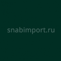 Светофильтр Rosco Cinelux 91 зеленый — купить в Москве в интернет-магазине Snabimport