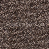 Контрактный ковролин Condor Сarpets Classic 94 коричневый — купить в Москве в интернет-магазине Snabimport