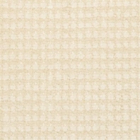 Ковровое покрытие Masland Classique 9272-111 Бежевый