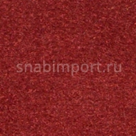 Ковровое покрытие Nordpfeil Performance Clear 170 Красный — купить в Москве в интернет-магазине Snabimport