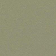 Натуральный линолеум Forbo Marmoleum Click-333355 зеленый — купить в Москве в интернет-магазине Snabimport