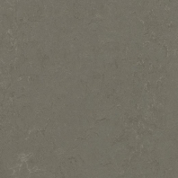 Натуральный линолеум Forbo Marmoleum Click-333723 Серый — купить в Москве в интернет-магазине Snabimport