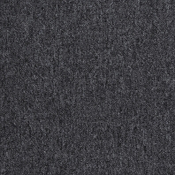 Ковровое покрытие Tapibel Cobalt-42351 чёрный