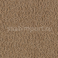 Ковровое покрытие Karastan Cobble Shore Sea Oats коричневый — купить в Москве в интернет-магазине Snabimport