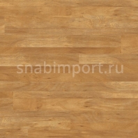 Виниловый ламинат Polyflor Colonia Wood PUR 4403 Golden Koa — купить в Москве в интернет-магазине Snabimport