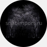 Гобо стеклянные Rosco Color Color Scene 86698 чёрный — купить в Москве в интернет-магазине Snabimport
