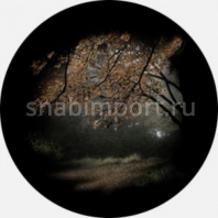 Гобо стеклянные Rosco Color Color Scene 86703 Серый — купить в Москве в интернет-магазине Snabimport