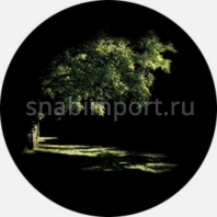Гобо стеклянные Rosco Color Color Scene 86704 зеленый — купить в Москве в интернет-магазине Snabimport