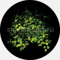 Гобо стеклянные Rosco Color Color Scene 86705 зеленый — купить в Москве в интернет-магазине Snabimport
