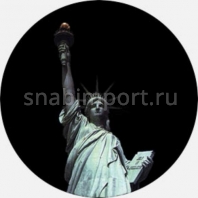 Гобо стеклянные Rosco Color Color Scene 86720 Серый — купить в Москве в интернет-магазине Snabimport