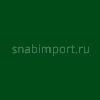 Флуоресцентная театральная краска Rosco Colorine 76071 Eмerald Green, 1 л зеленый — купить в Москве в интернет-магазине Snabimport