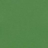 Коммерческий линолеум Forbo Eternal Colour-40642 зеленый — купить в Москве в интернет-магазине Snabimport