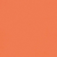 Коммерческий линолеум Forbo Eternal Colour-40782 оранжевый — купить в Москве в интернет-магазине Snabimport