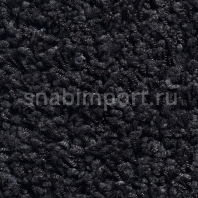 Ковровое покрытие Carpet Concept Concept 504 325 черный — купить в Москве в интернет-магазине Snabimport