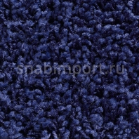 Ковровое покрытие Carpet Concept Concept 504 424 синий — купить в Москве в интернет-магазине Snabimport