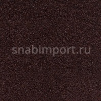 Ковровое покрытие Carpet Concept Concept 505 253 коричневый — купить в Москве в интернет-магазине Snabimport