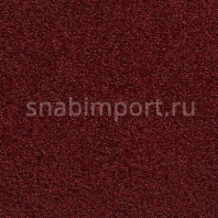 Ковровое покрытие Carpet Concept Concept 505 289 Красный — купить в Москве в интернет-магазине Snabimport