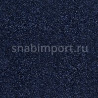 Ковровое покрытие Carpet Concept Concept 505 410 синий — купить в Москве в интернет-магазине Snabimport